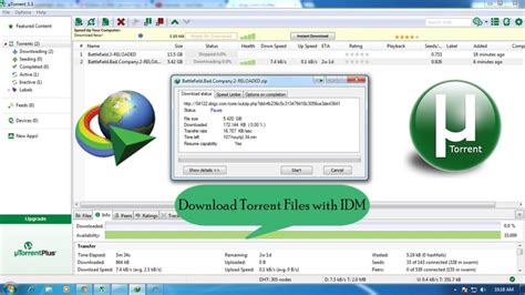 erome downloader|internet downloader free download.